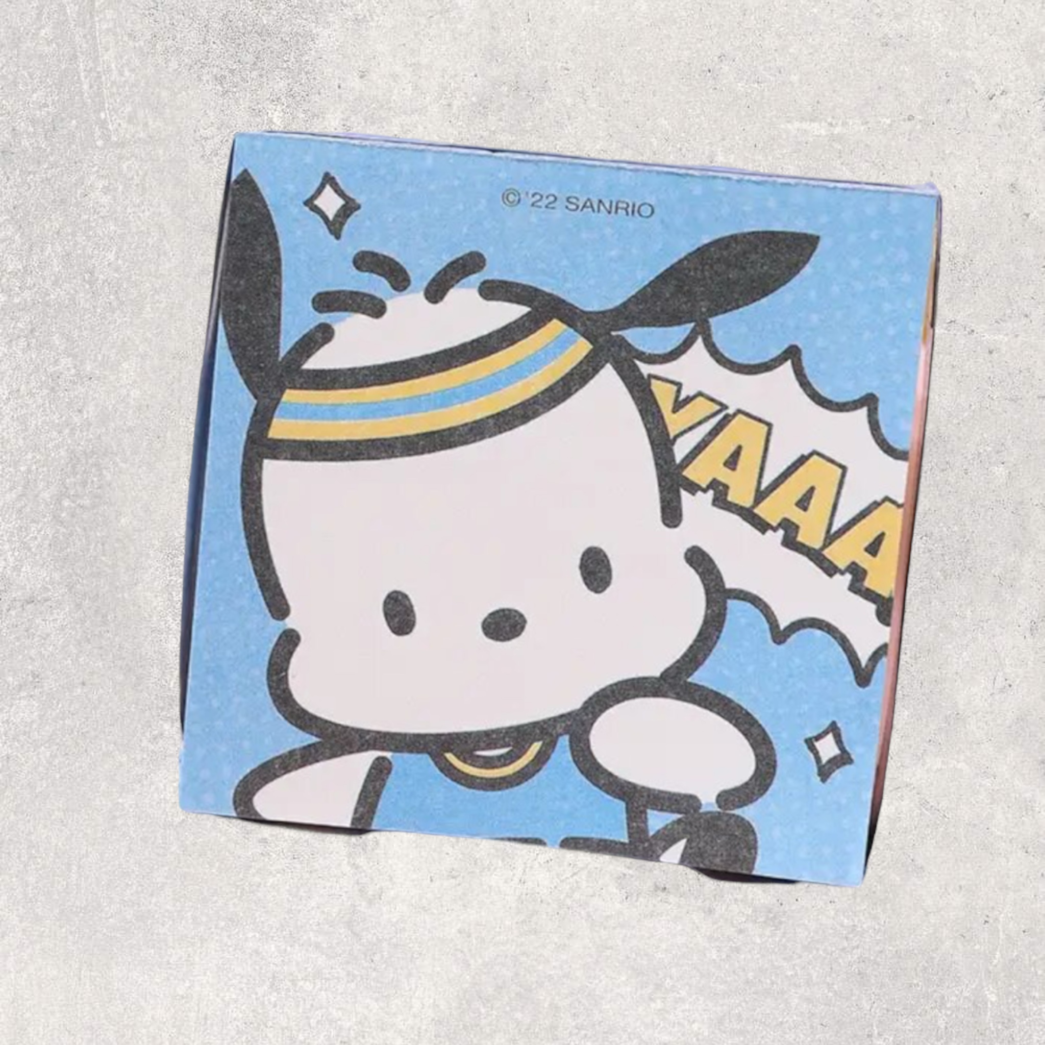 Pochacco